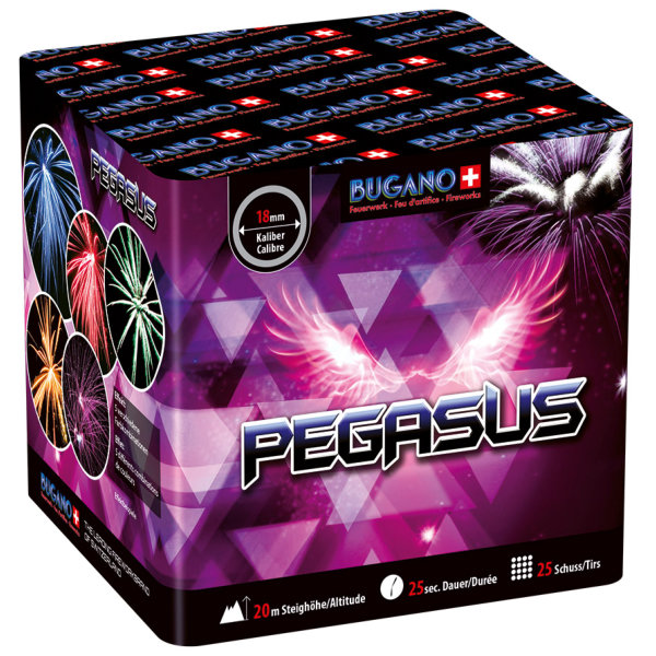 Pegasus Batteriefeuerwerk von Bugano